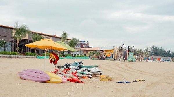 Explore the scottish highlands: budget-friendly wildlife adventures you won't forget!